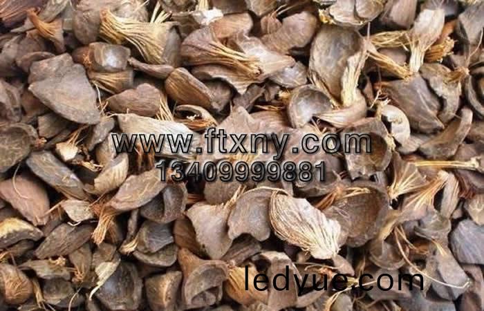 ��鵿(sheng)������ʿ���ȼ������ԭ��